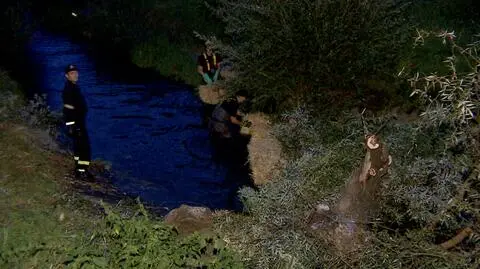 Strażacy zbudowali zaporę z drzew i słomy