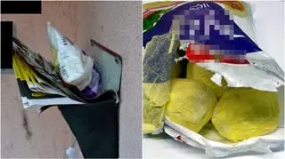 Narkotyki były zapakowane w torbę po pyzach
