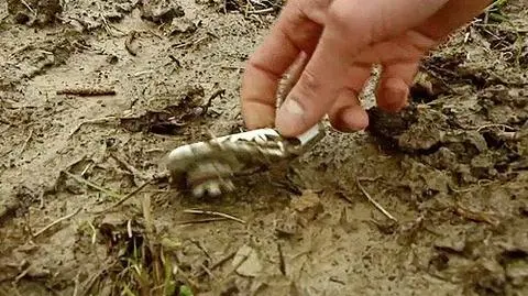 Miesiąc po zapowiedzi, archeolodzy jadą do Smoleńska