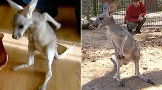 Tosia powoli przyzwyczaja się do nowego otoczenia