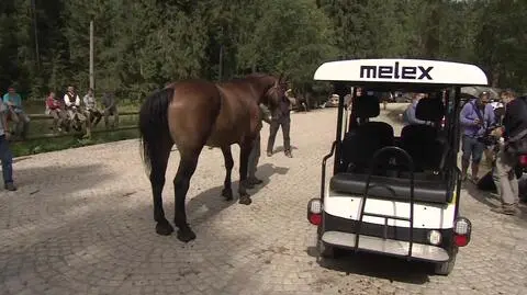 Meleksem nad Morskie Oko 