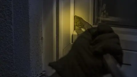 Seria włamań na osiedlu w Poznaniu, policjanci organizują spotkania