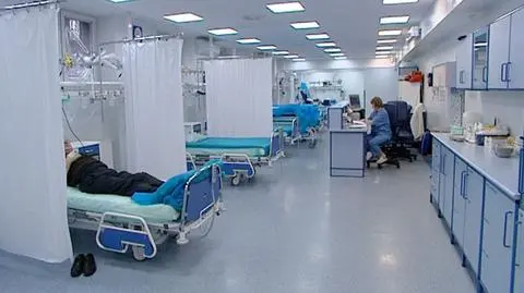 Świńska grypa atakuje na Dolnym Śląsku:
dwa zachorowania we Wrocławiu, jedno w Legnicy
