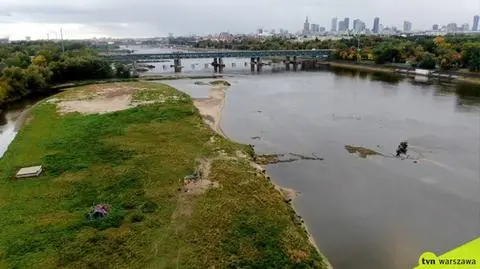 The remains of seventeen goats were found on the island