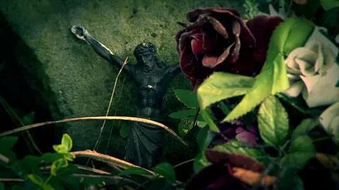 "Wyjęli czaszkę z grobu i biegali z nią po wsi". 
Historia znikania cmentarza w Miedziance