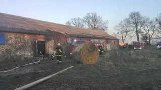 Zapaliła się ściółka