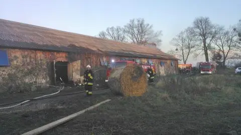 2800 indyków zginęło w pożarze