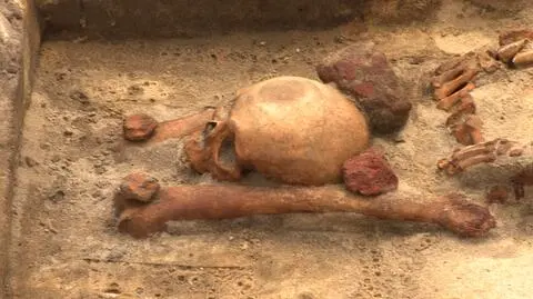 Sensacyjne znalezisko rozsławiło Gliwice na całym świecie