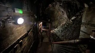 Fundacja Thesaurus uważa, że generalny konserwator zabytków popełnił przestępstwo