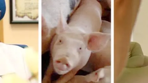 "Grypa jest moją pasją". 
Apostoł Lidia Brydak