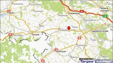 5 osób rannych po zderzeniu busa z ciężarówką. 
Pasza na drodze, 5 godzin utrudnień na "40"