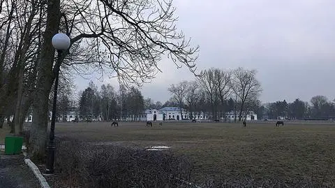Prezesi stadnin o swoich odwołaniach