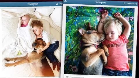 Słynny śpiący duet to teraz trio. Do chłopca i psa dołączyła siostra