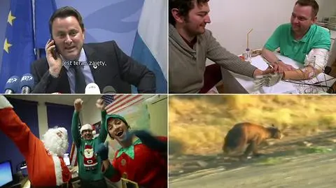 Najlepsze wideo tvn24.pl. Wybierz zwycięzcę