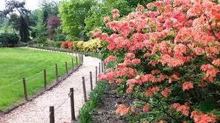 Piękne widoki z dala od Euro