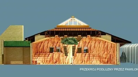 Przetarg na gdańską lwiarnię. "Zwycięzcę poznamy w poniedziałek"