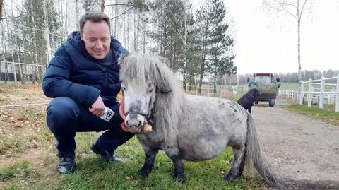 Bombel jest najmniejszym koniem na świecie