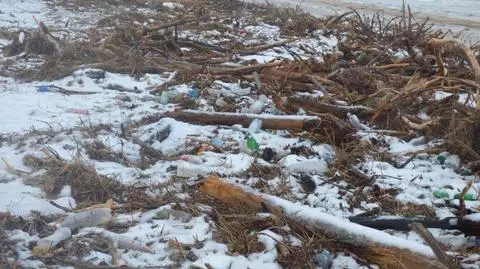 Morze wyrzuca śmieci