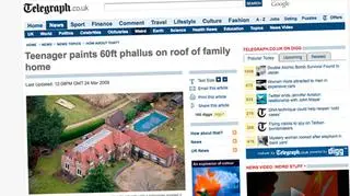 Falliczny kształt na dachu domu