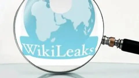 Czesi uruchomią pirackie Wikileaks
