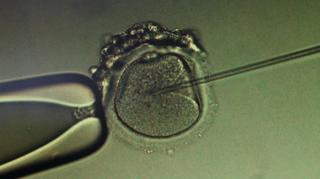 Refundacja metody in vitro spowodowała ogromne zainteresowanie polskich par