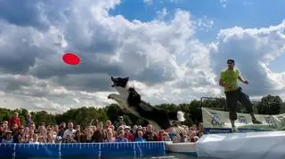 Dog Chow Disc Cup 2012