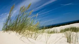 Łeba rozdaje piasek za darmo 