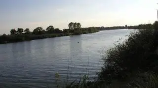 Odra - widok na Uraz k. Wrocławia Fot. Robert Wrzesiński, 2004 r.