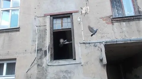 Aż 231 budynków "nominowanych" do wyłączenia z użytkowania