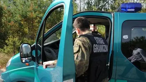 Nielegalni imigranci 
 w taksówce