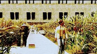 Labirynt na dziedzińcu