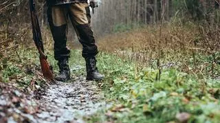 Myśliwy myślał, że strzela do dzika