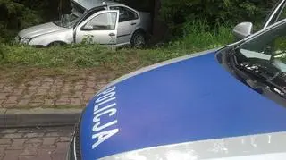 Samochód uderzył w drzewo