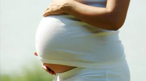 Prokurator o zarzutach dla matki-surogatki