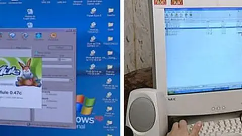 Internetowy pirat prosi o wyrozumiałość