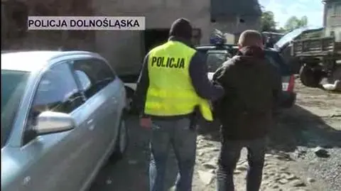Zlikwidowali dziuplę. Odzyskali kradzione auta 