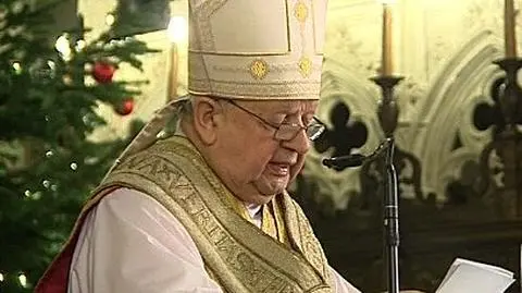 Homilie na koniec roku: in vitro i ataki na kościół