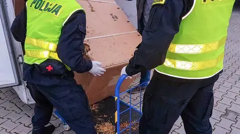 Nowa Sól: 26-latek przewoził tytoń bez akcyzy