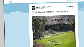 "Imigranci, pościg policyjny i golfiści. Tylko w Melilli"