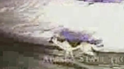 Pies-bohater uratował właściciela z pożaru