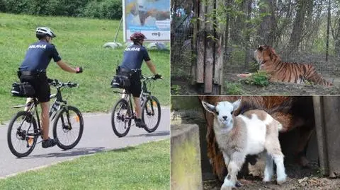 Rowerowe patrole od soboty w poznańskim zoo
