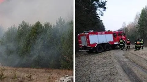 Ogromny pożar lasów i łąk. 
Stu strażaków i samolot w akcji