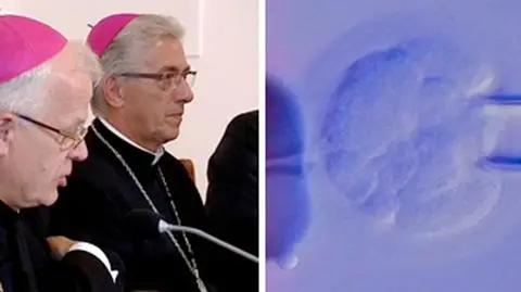 Biskupi proszą wiernych: Módlcie się o zakaz in vitro