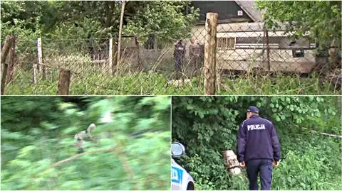 Pomiłowo. Mężczyzna na wózku zagryziony przez psy