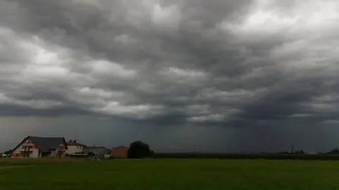 Zerwane dachy, poprzewracane drzewa. Śląsk po wichurze