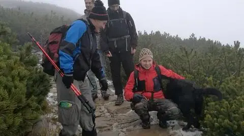 Labrador na Giewoncie. Pomogli turyści i przynęta z kabanosów