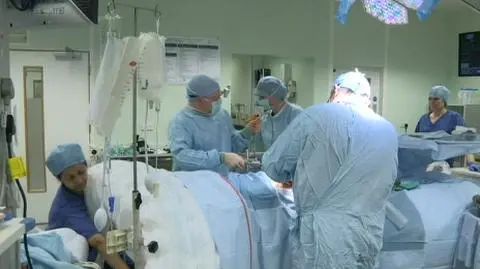 Walii pomysł na przeszczepy