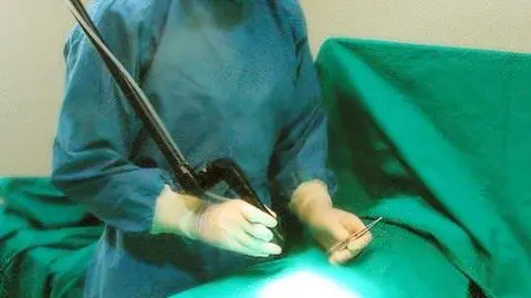 Lekarz skazany za łapówkę i fałszerstwo