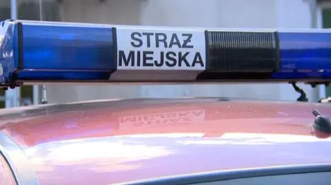 Nie nałożył mandatu. Jest winny niedopełnienia obowiązków