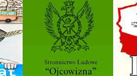 "Wybierz mnie", piosenka partii Elektorat